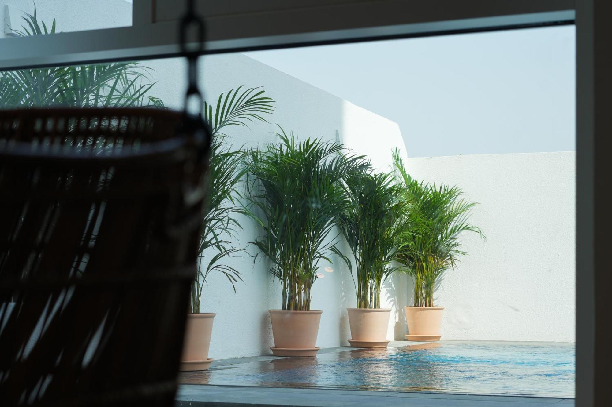 Shada Hotel Jumeirah Garden Dubai Dış mekan fotoğraf